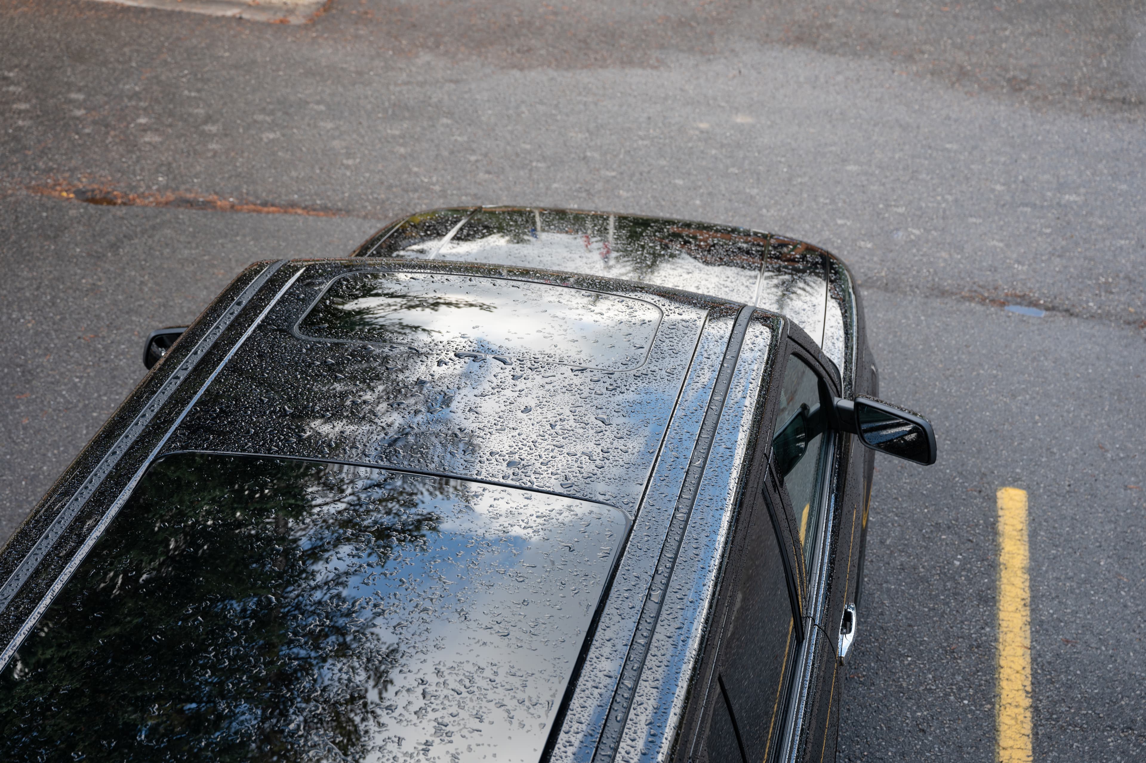 Glass & Hail Damage